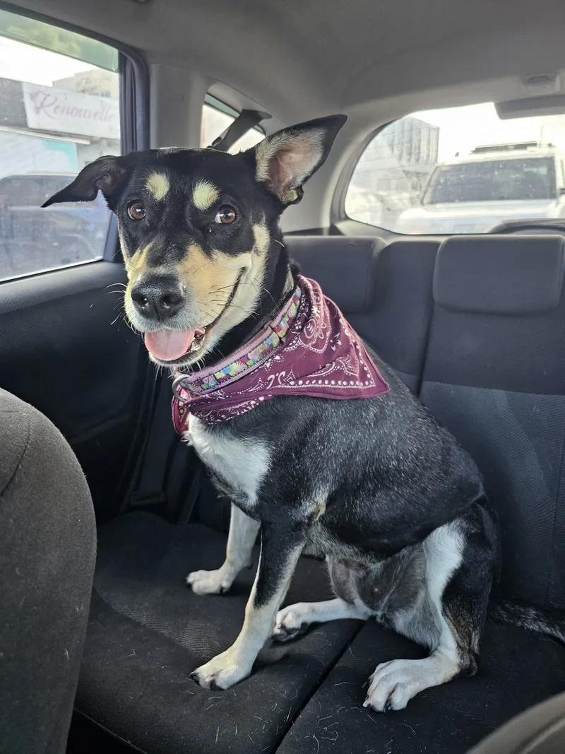 Sky Girl thumbnail 3