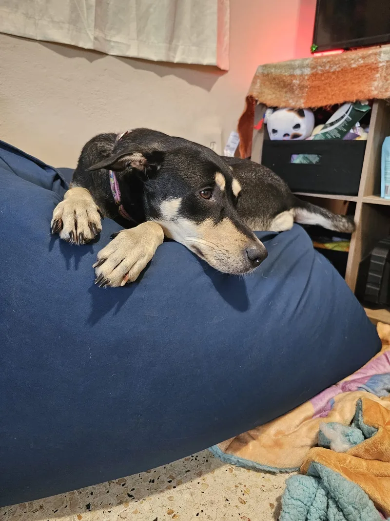 Sky Girl thumbnail 5