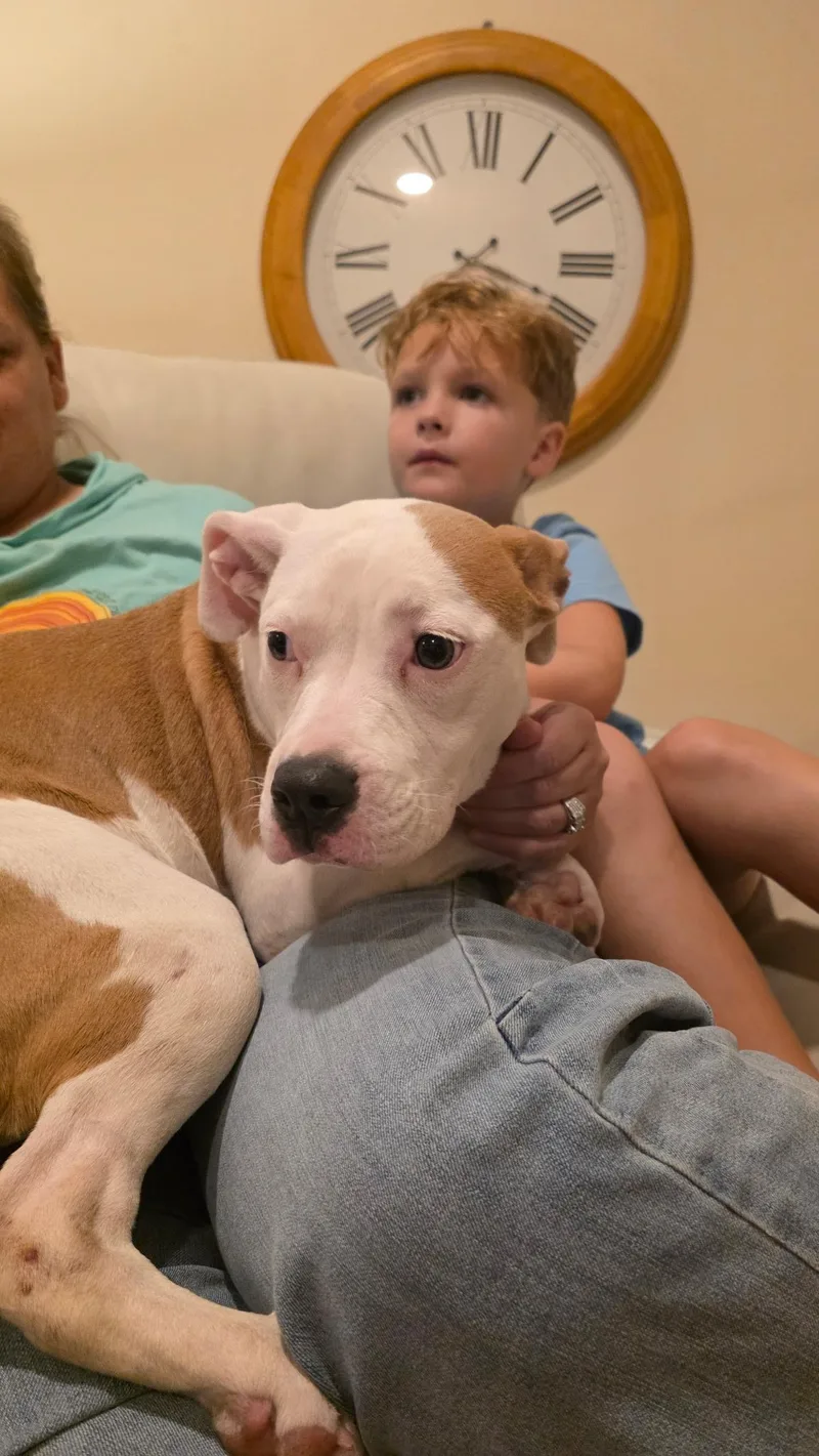 Sunny Bunny thumbnail 2