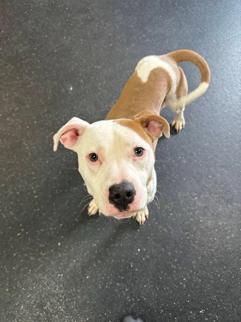 Sunny Bunny thumbnail 3