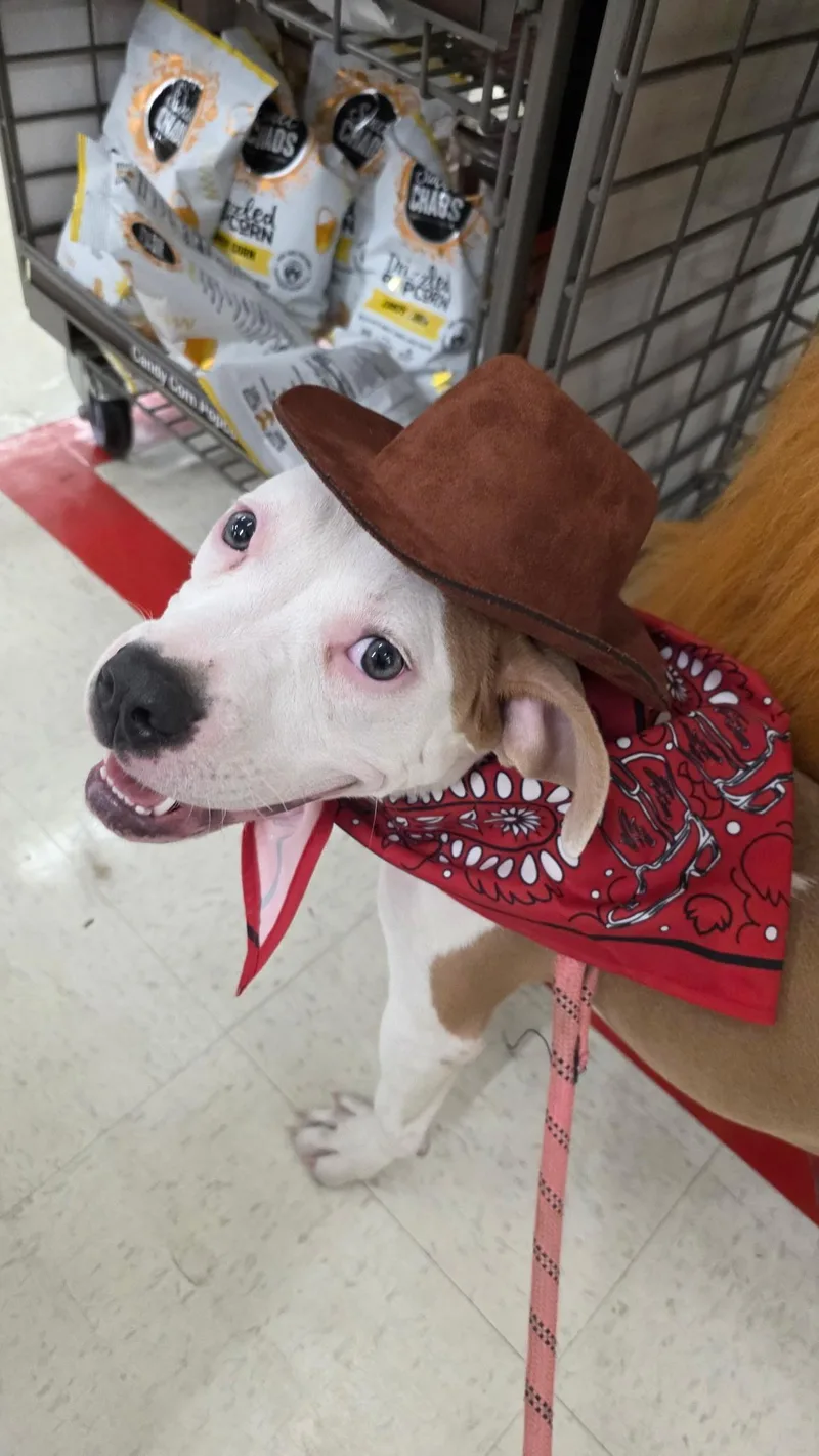 Sunny Bunny thumbnail 4