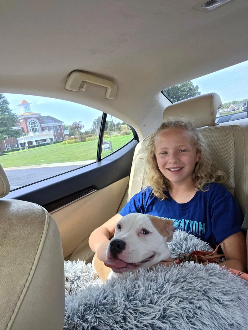 Sunny Bunny thumbnail 5