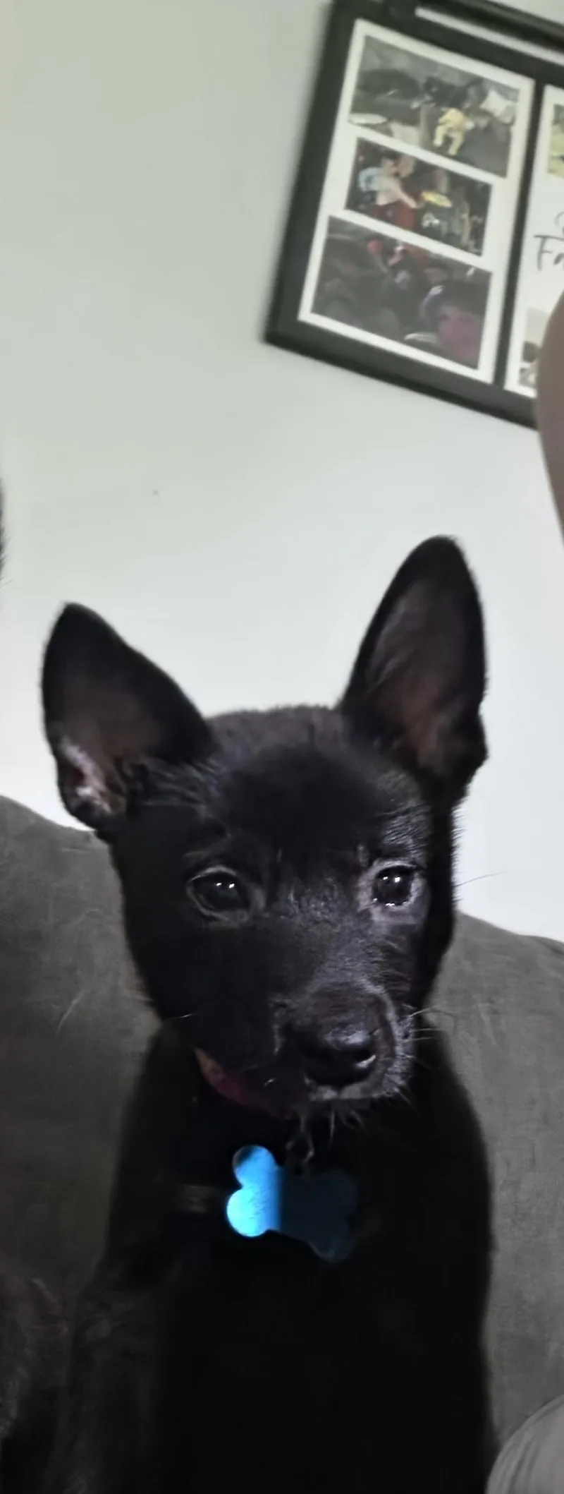 Athena