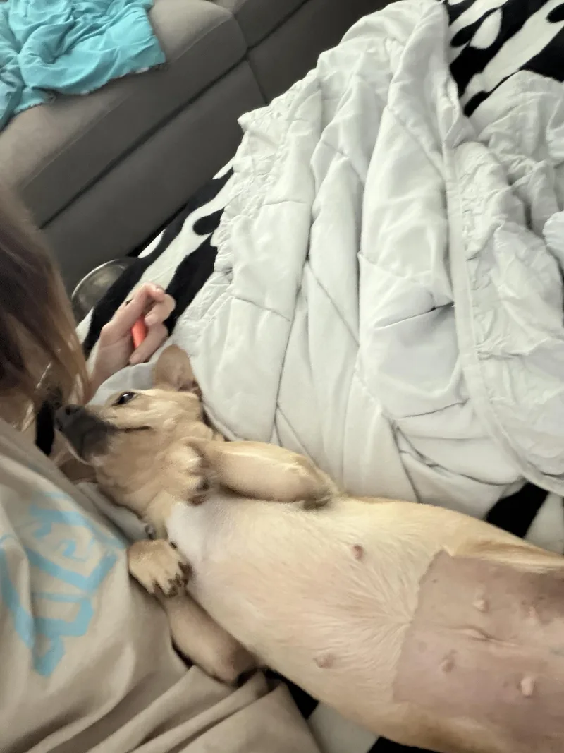 Sunny thumbnail 5