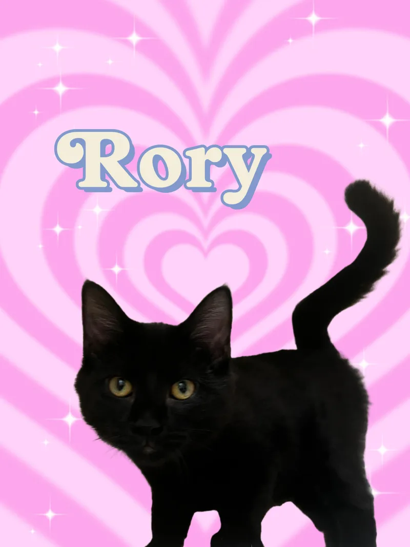 Rory