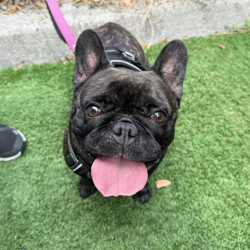 Nicki Minaj thumbnail 4