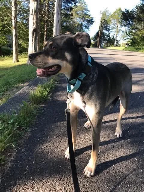 Parker thumbnail 2