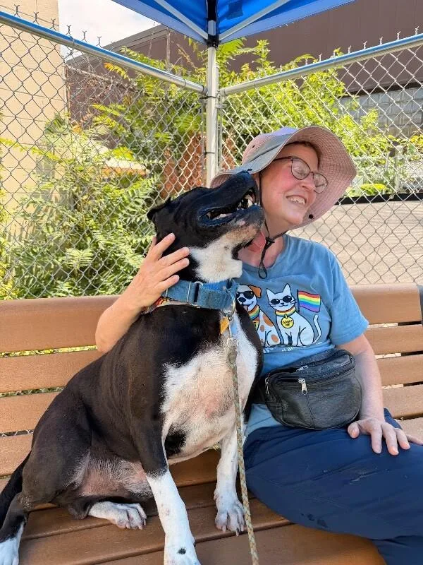 An adult medium-sized male Mixed Breed dog named Gunter for adoption in Cincinnati, OH