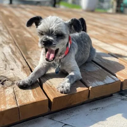 Ms. Gray thumbnail 2