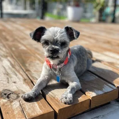 Ms. Gray thumbnail 3