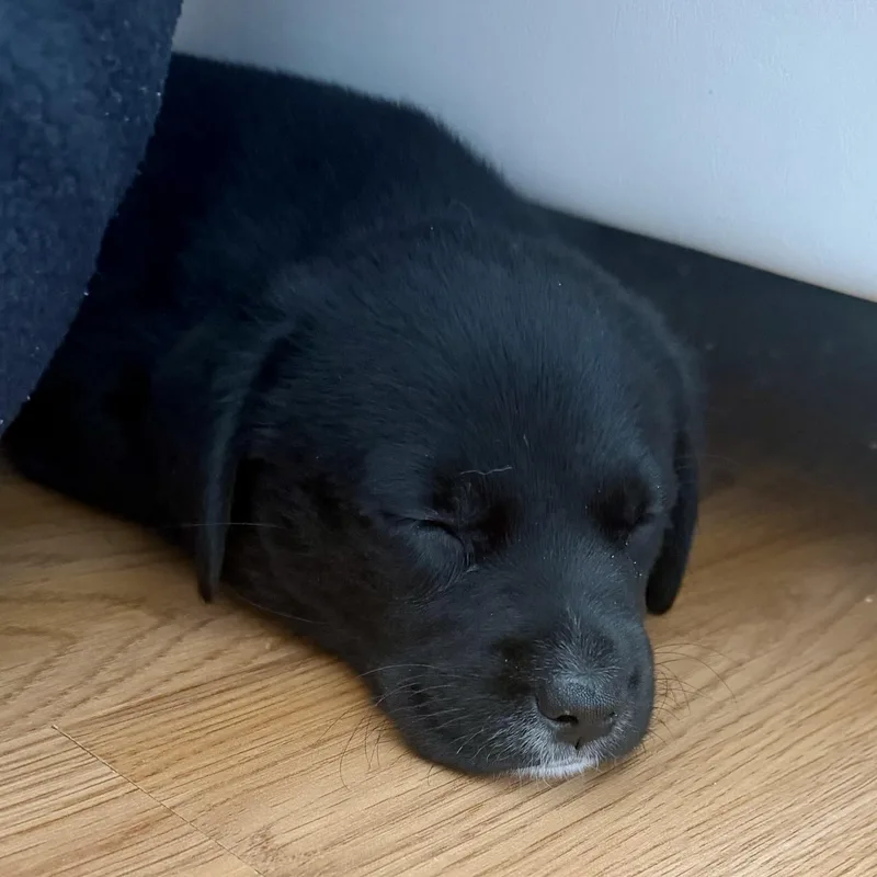 Hershey thumbnail 3
