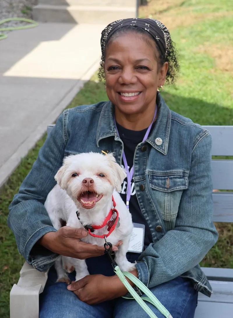 An adult small-sized female Maltese dog named Muneca for adoption in Harrison, NY