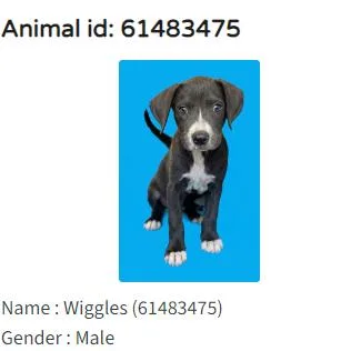 Wiggles