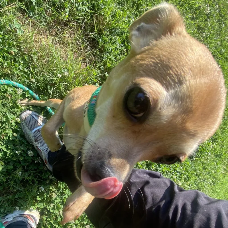 GiGi thumbnail 2