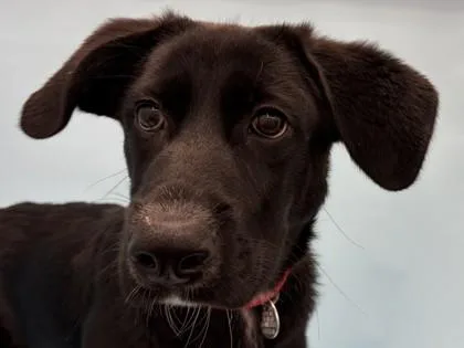 Xena