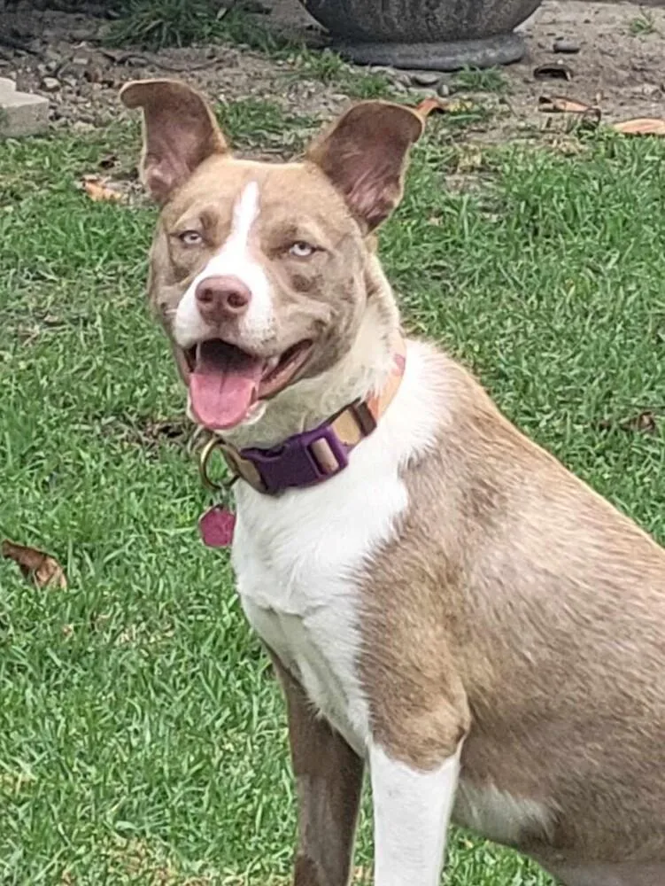 Nala Girl thumbnail 2