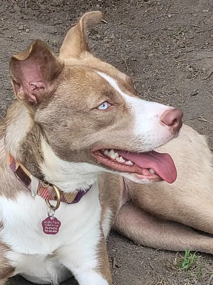 Nala Girl thumbnail 3