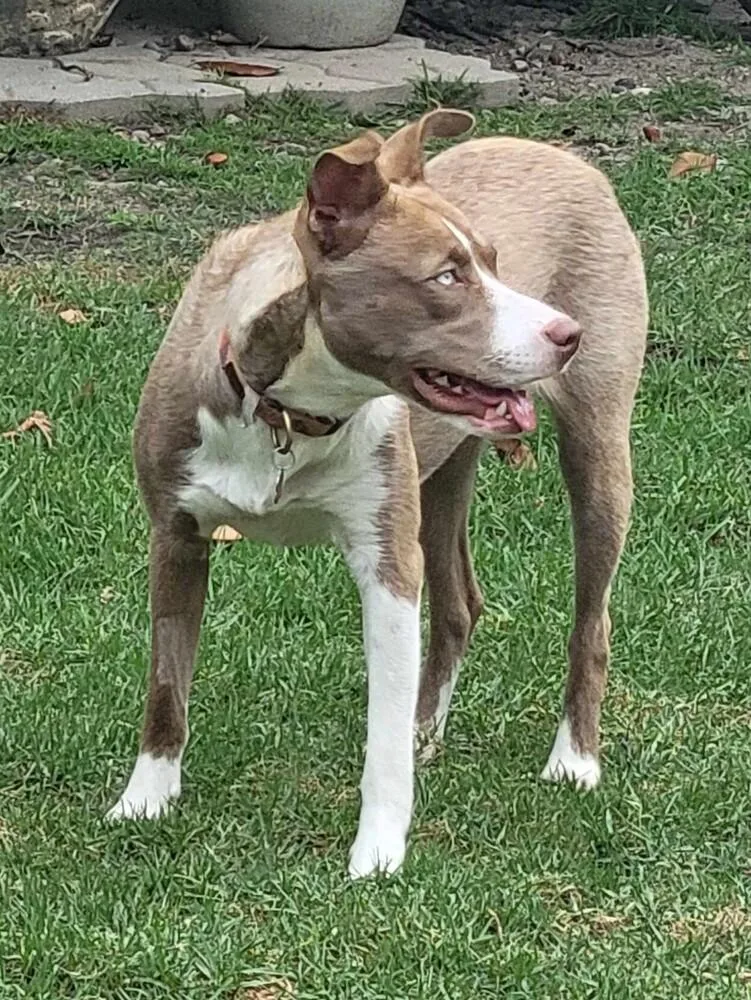 Nala Girl thumbnail 5