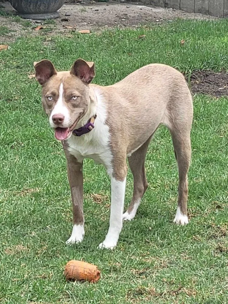 Nala Girl thumbnail 6