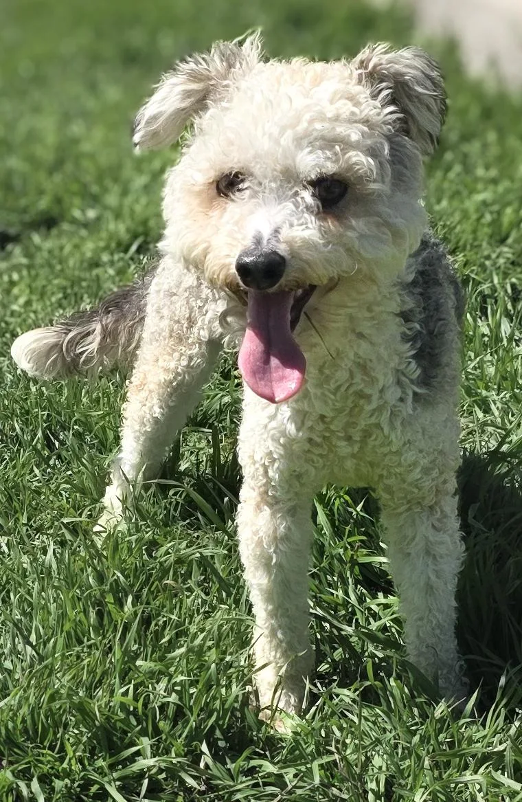 Joey & Charlie thumbnail 2