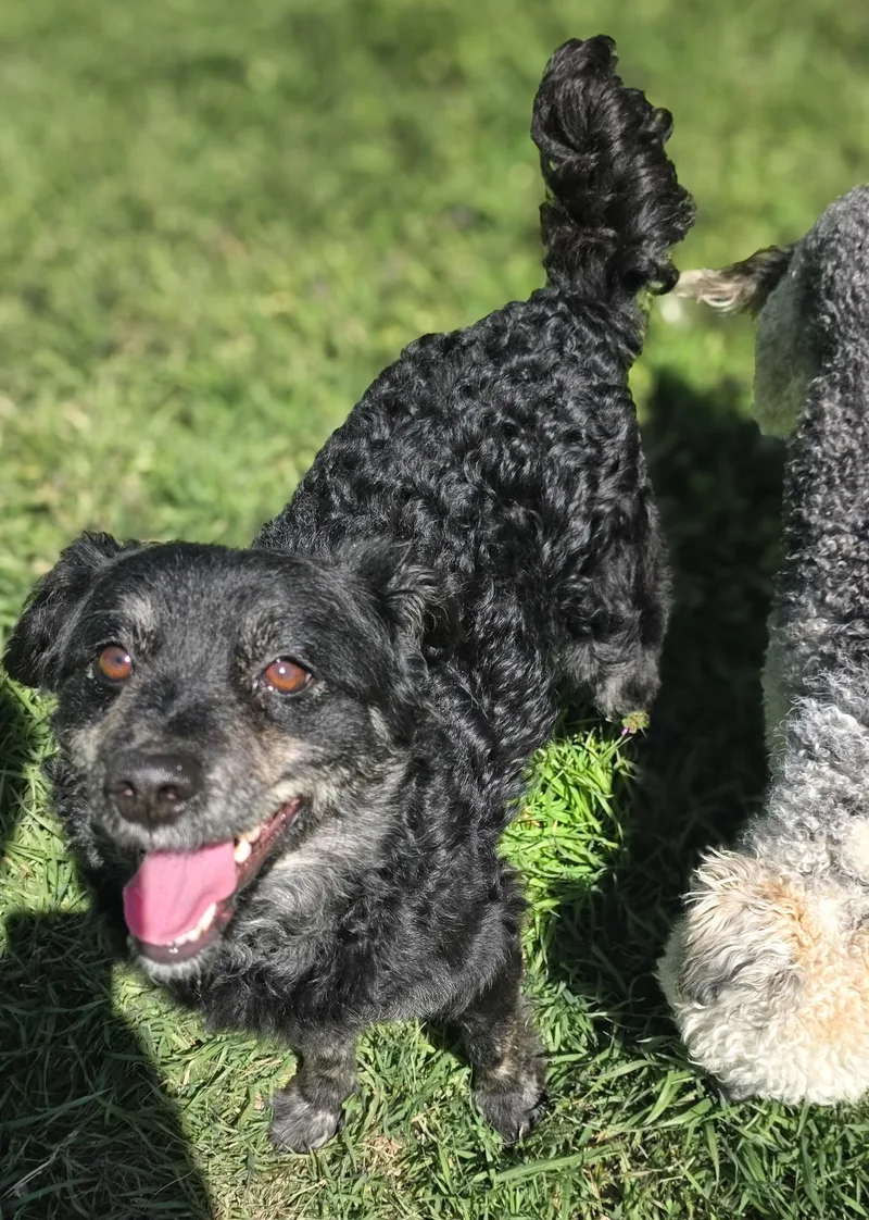 Joey & Charlie thumbnail 4