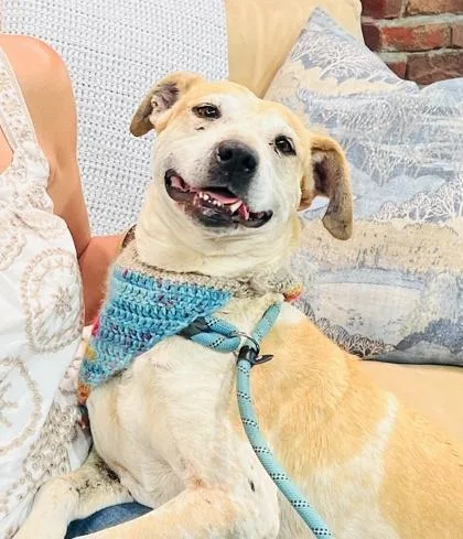 Cindy Hw thumbnail 2