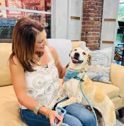 Cindy Hw thumbnail 3