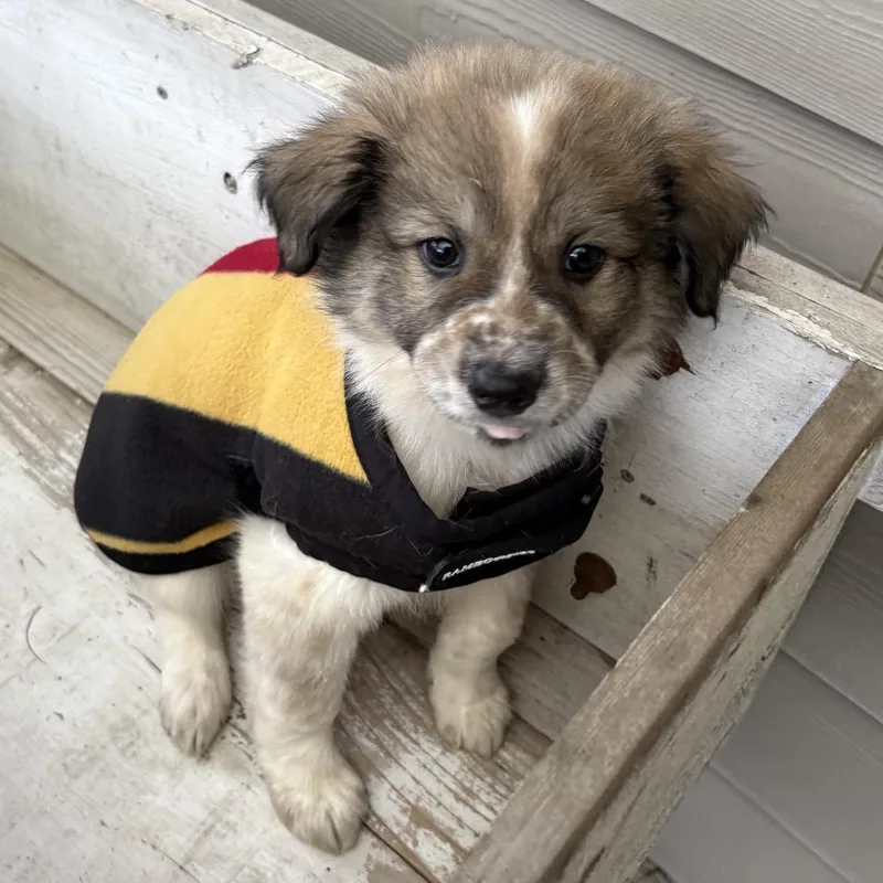 Mckinley thumbnail 2