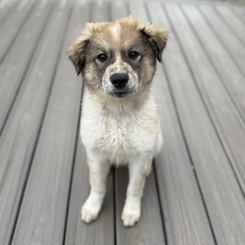 Mckinley thumbnail 4