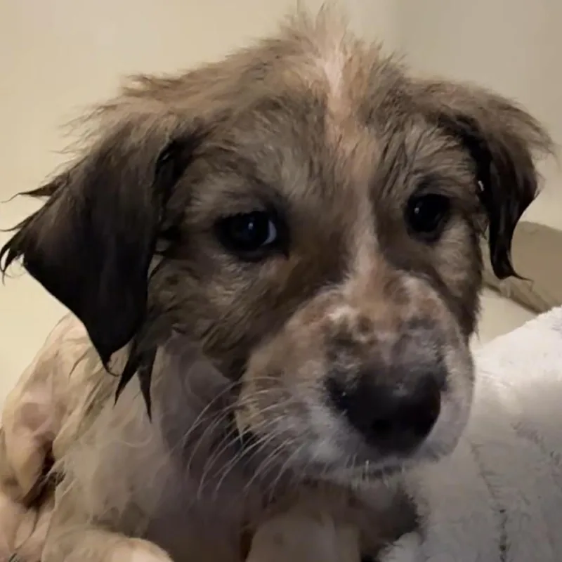 Mckinley thumbnail 5