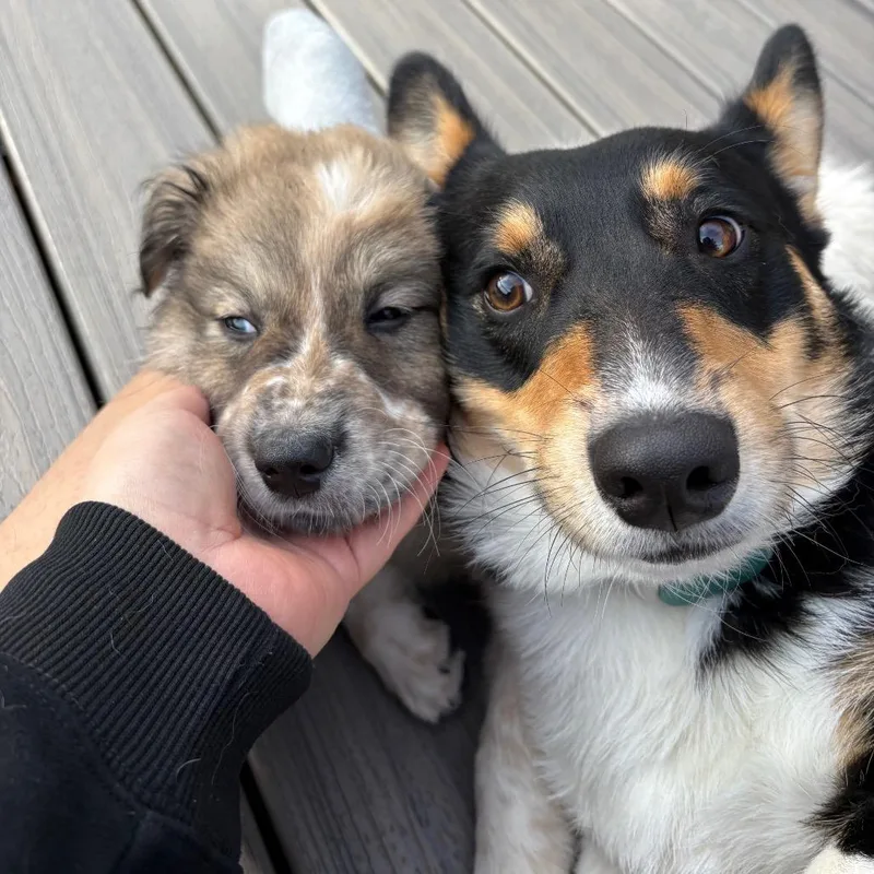 Mckinley thumbnail 6