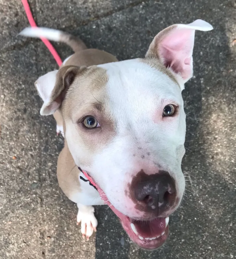 Bella Gem! thumbnail 2