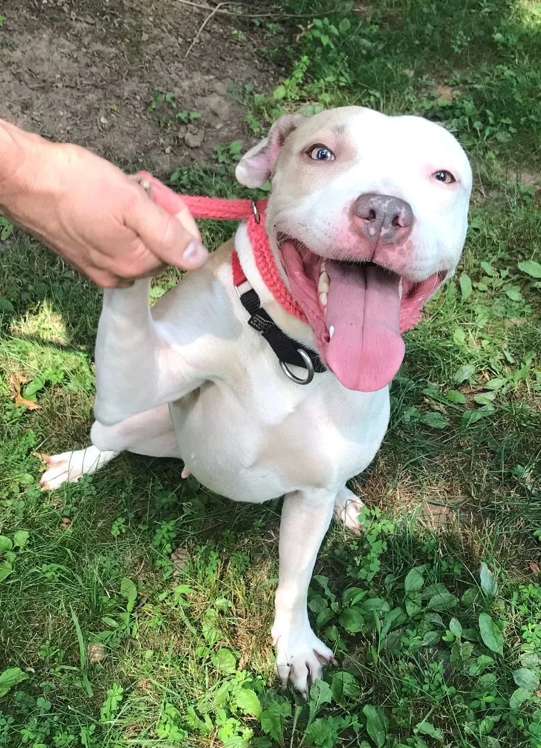 Bella Gem! thumbnail 3