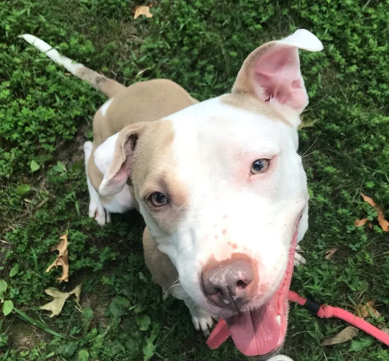 Bella Gem! thumbnail 5