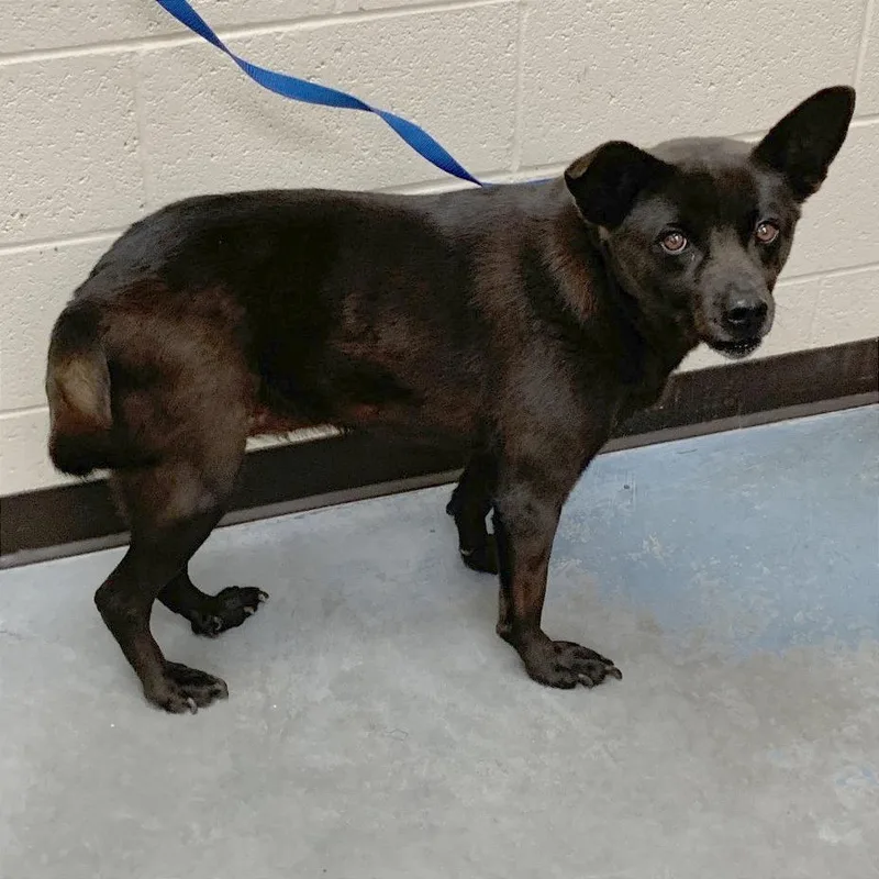 Noir Michelle thumbnail 6