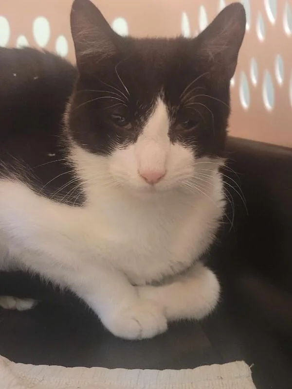 Thomas The Train thumbnail 2