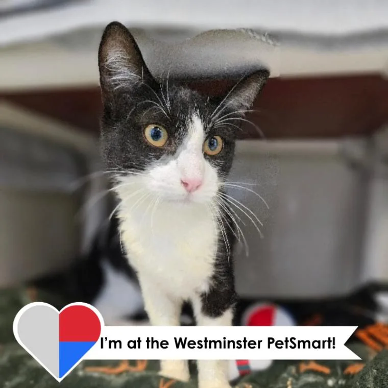 Thomas The Train thumbnail 3