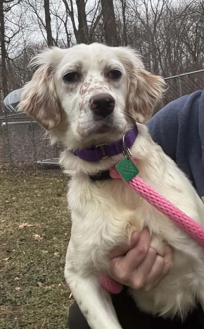 Victoria thumbnail 2