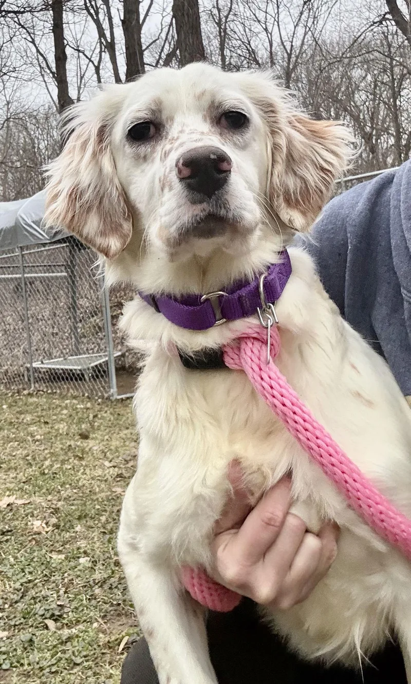 Victoria thumbnail 3