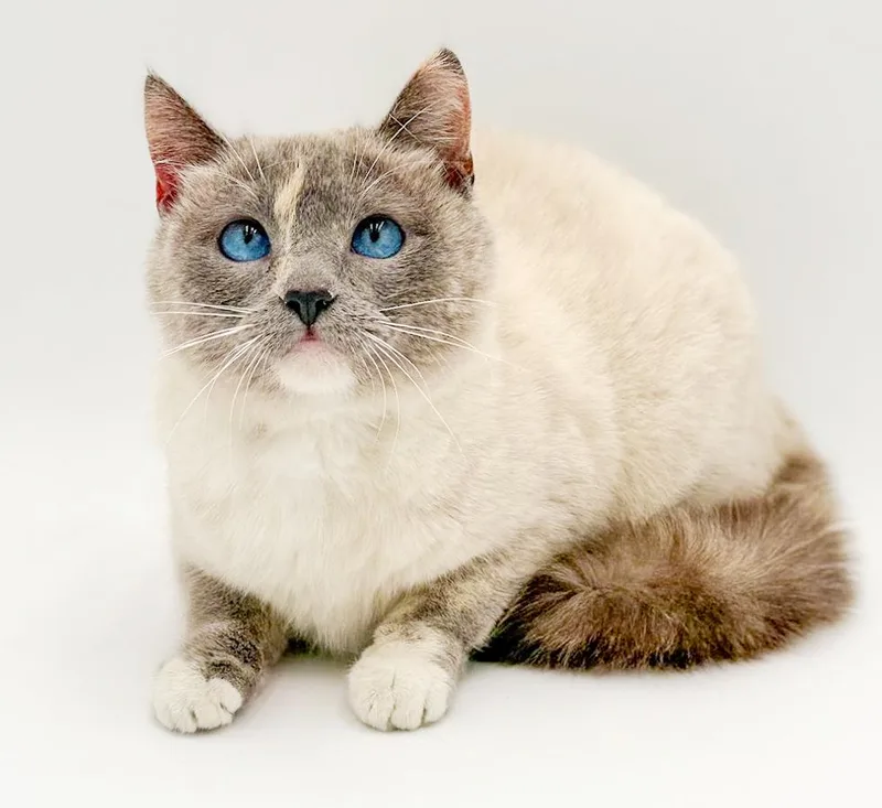 Sammie Is Our Stunning thumbnail 2