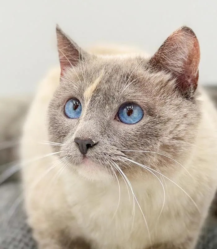 Sammie Is Our Stunning thumbnail 3