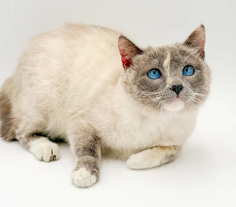 Sammie Is Our Stunning thumbnail 5