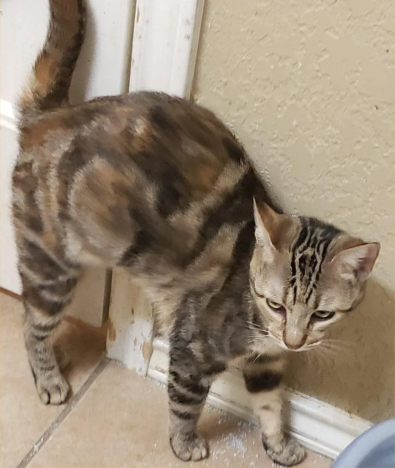 Luminary thumbnail 2