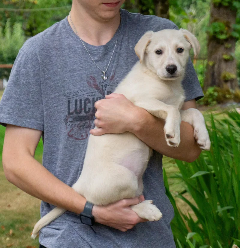 Brie thumbnail 4