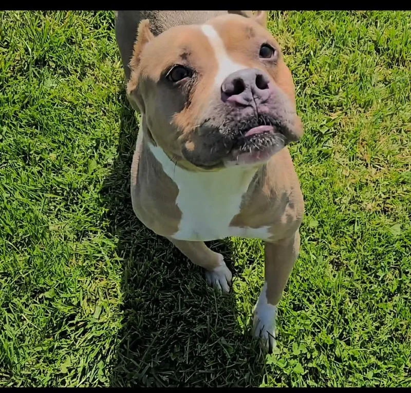Mable thumbnail 6