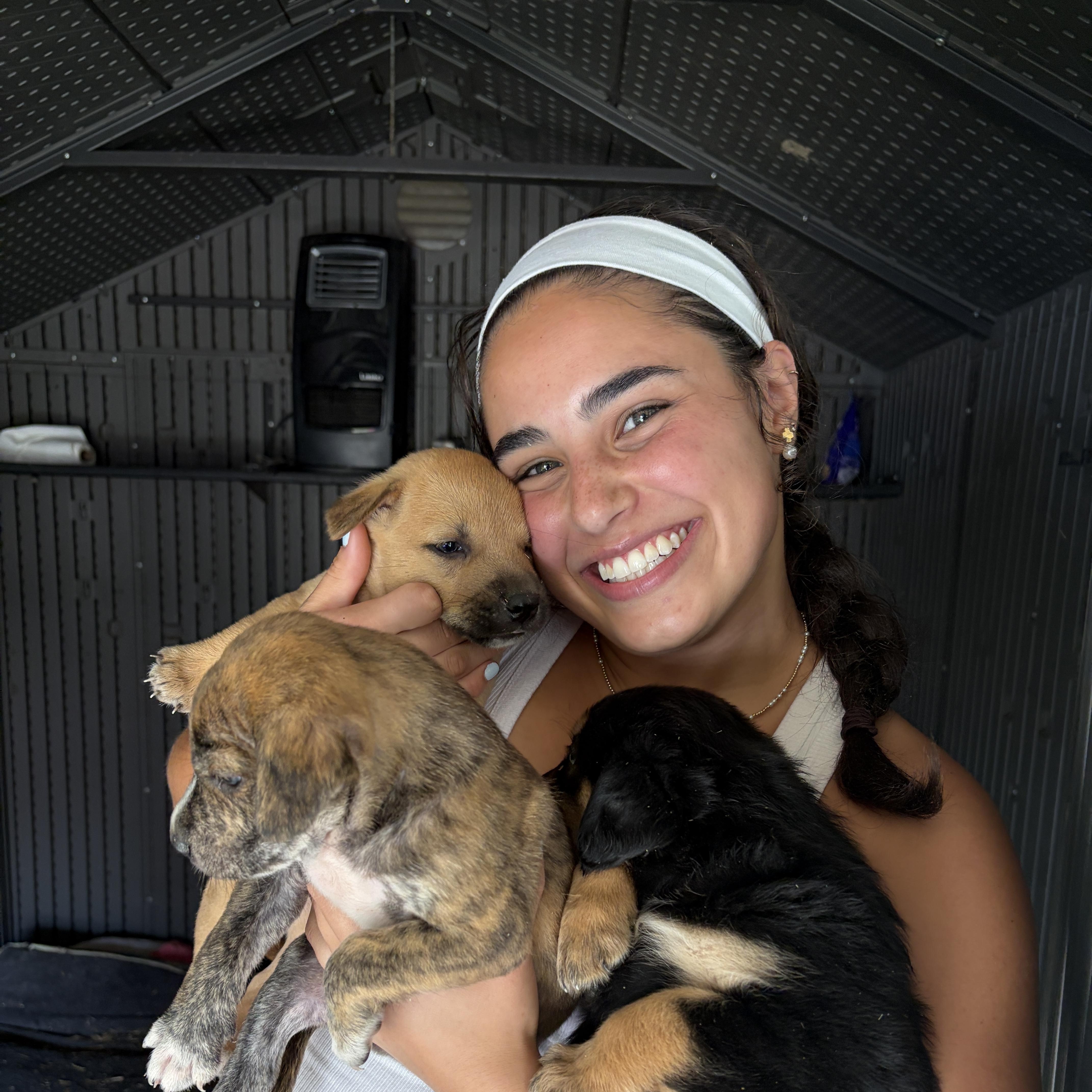 Puppies thumbnail 4