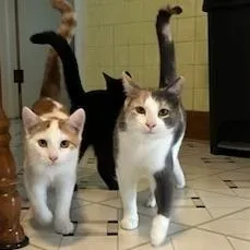 Summer With Whitney  thumbnail 3