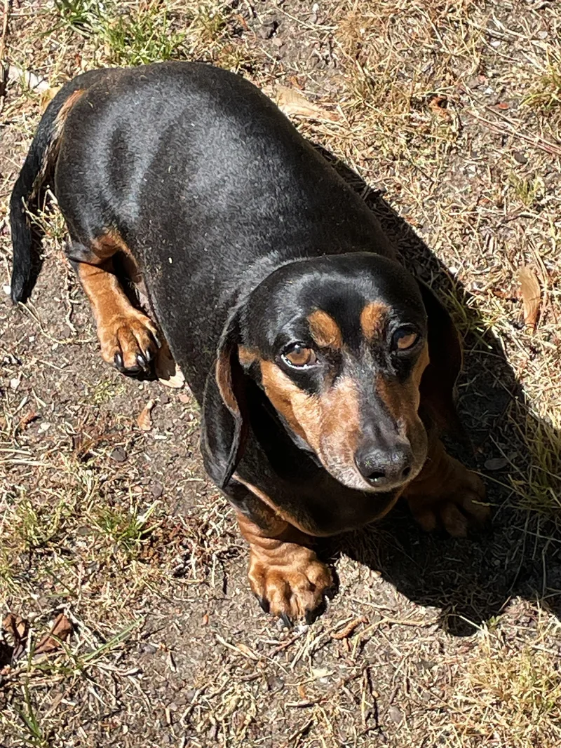 Jake In Va