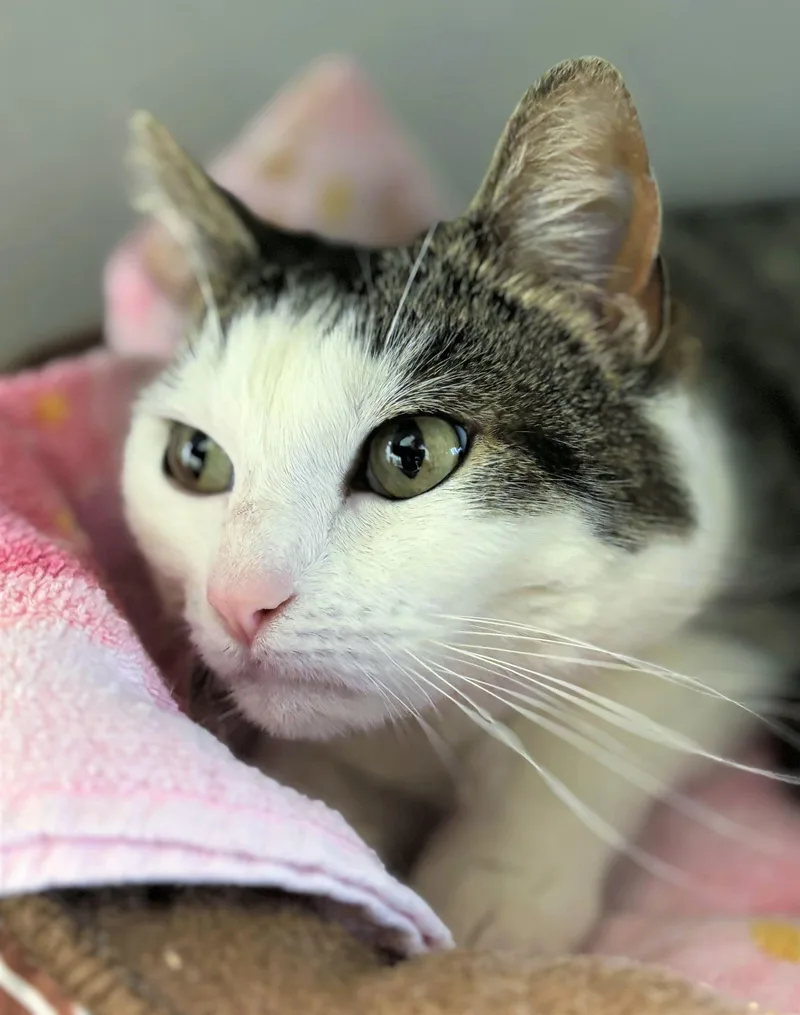 Lady Gyo thumbnail 2