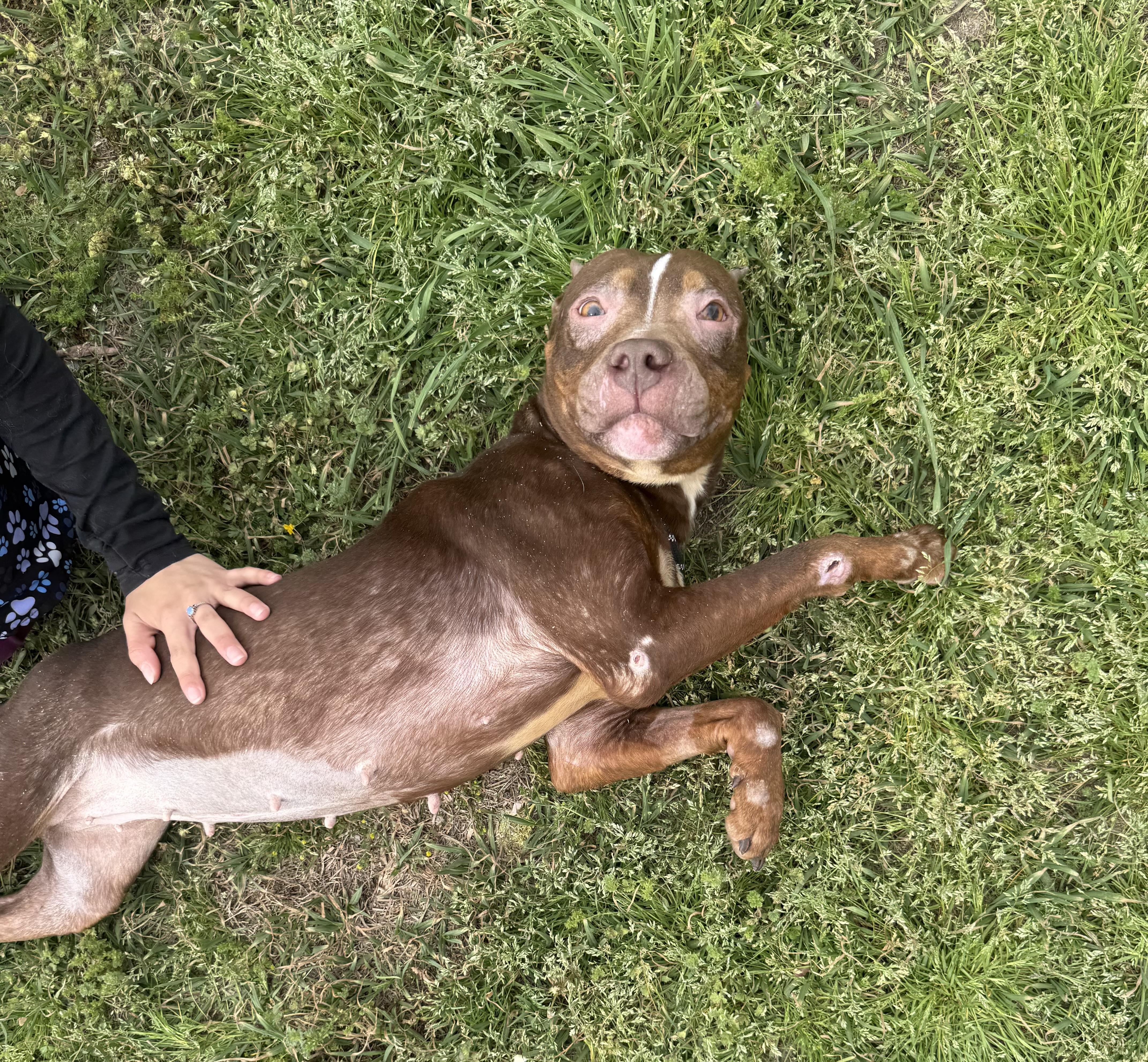 Willow Why Won’t Anyone thumbnail 4